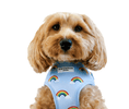 Load image into Gallery viewer, LUXE ADJUSTABLE NECK Dog and Puppy HARNESS - OVER THE RAINBOW - Posh Poos