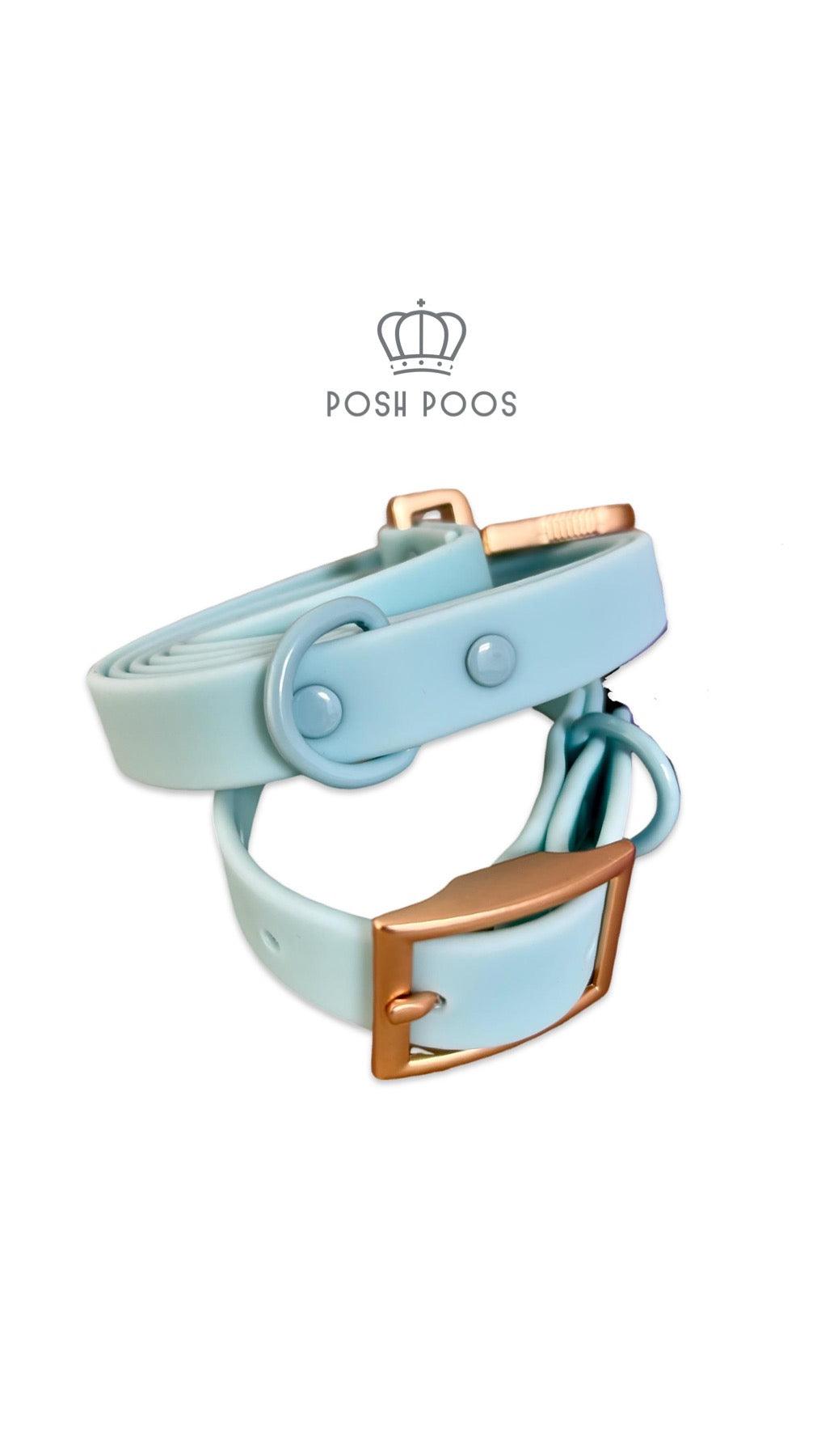 Waterproof Pvc Collar and Lead Set MINT - Posh Poos