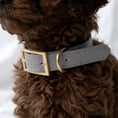 Load image into Gallery viewer, Grey Heritage Stripe First Walk Set - Harness, Collar, Lead and Bow Tie