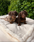 Load image into Gallery viewer, Ivory Monochrome Dog Blanket –with Sherpa | 70 × 100 cm - Ivory