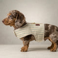 Load image into Gallery viewer, Heritage Stripe Sherpa Coat Harness - Duck Egg