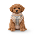 Load image into Gallery viewer, Tiny Puppy Knitted Jumper - for Small Breeds