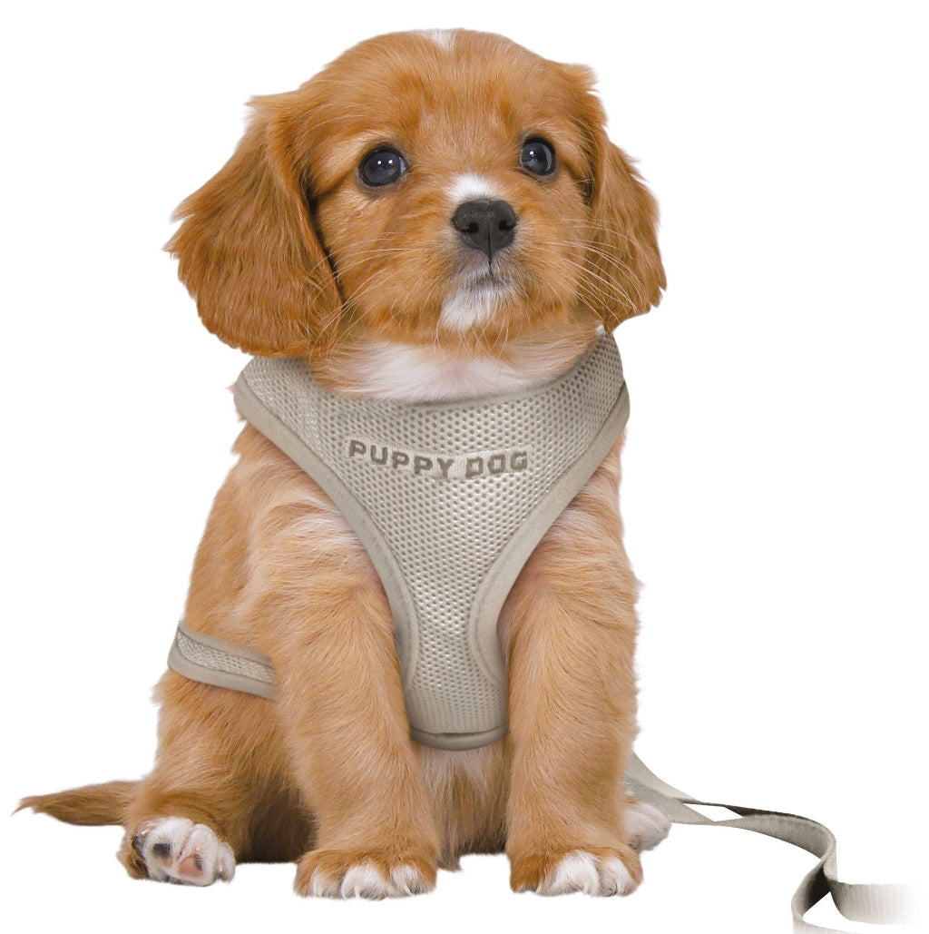 GREY Soft Puppy Harness with matching lead Tiny PUPPY - Posh Poos