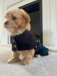 Load image into Gallery viewer, Tartan Kilt Coat 8 inch (puppy size) - Posh Poos