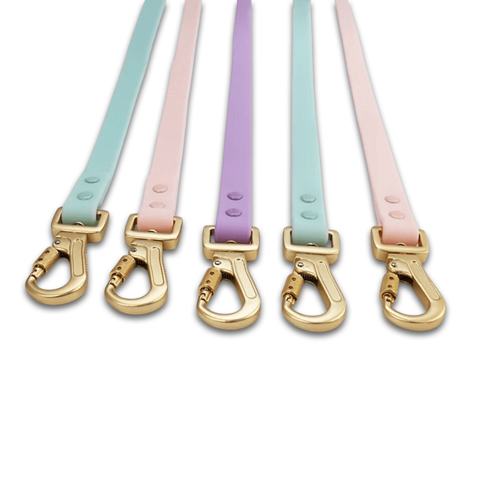 Waterproof Pvc Collar and Lead Set MINT - Posh Poos