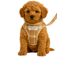 Load image into Gallery viewer, Posh Poos Puppy Harness Set – Taupe Plaid (XXS/XS)