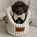 Load image into Gallery viewer, Dog wearing a striped bow tie sitting in a striped pet carrier with 'Posh Poos' branding.