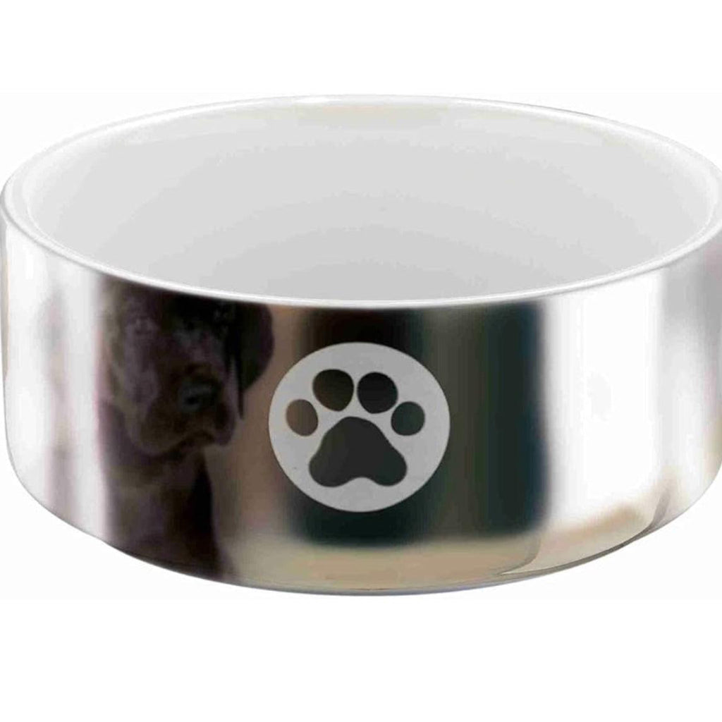 Ceramic Silver Bowl - Posh Poos