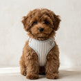 Load image into Gallery viewer, Heritage Stripe Puppy Harness -Grey