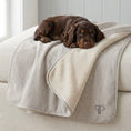 Load image into Gallery viewer, Heritage Stripe Sherpa Backed Blanket - Grey
