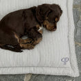 Load image into Gallery viewer, Crate Mattress - Heritage Stripe -Grey