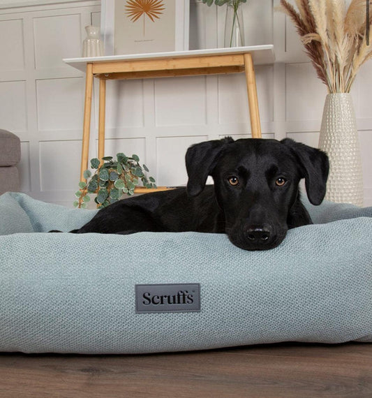 Scruffs Seattle Box Dog Bed Green - Posh Poos