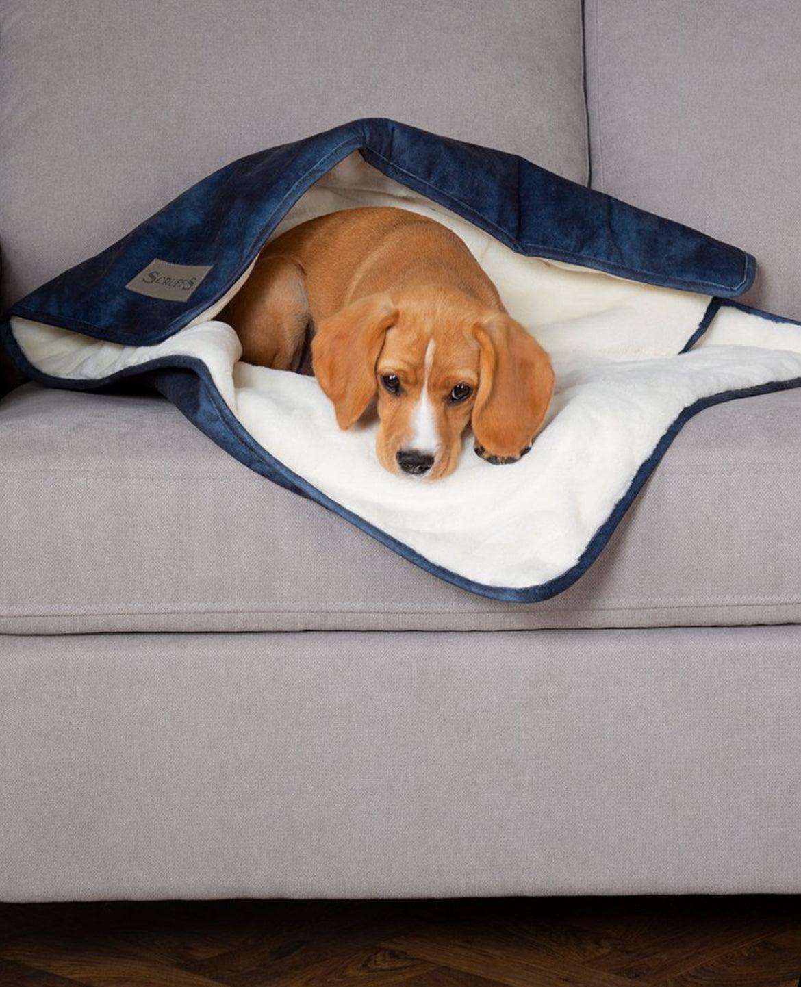 Scruffs Kensington Dog Blanket-Navy - Posh Poos