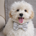 Load image into Gallery viewer, Heritage Stripe Doggy Bowtie - Grey