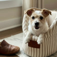 Load image into Gallery viewer, Heritage Stripe Luxury Dog Carrier Bag - Taupe