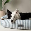 Load image into Gallery viewer, Scruffs Blue Stripe Coastal Box Dog Bed for Dogs and Puppies - Posh Poos