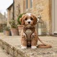 Load image into Gallery viewer, Marlow Linen Puppy Harness - Chestnut