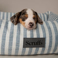 Load image into Gallery viewer, Scruffs Sea Green Stripe Coastal Box Dog Bed for Dogs and Puppies