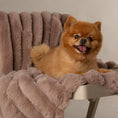 Load image into Gallery viewer, Scruffs Aspen Furry Dog/Puppy Blanket Taupe