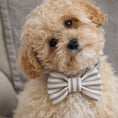 Load image into Gallery viewer, Heritage Stripe Doggy Bowtie - Taupe