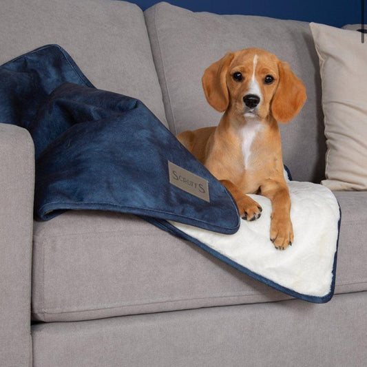 Scruffs Kensington Dog Blanket-Navy - Posh Poos