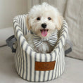 Load image into Gallery viewer, Small white dog wearing a striped bow tie sitting in a striped pet carrier with 'Posh Poos' branding.