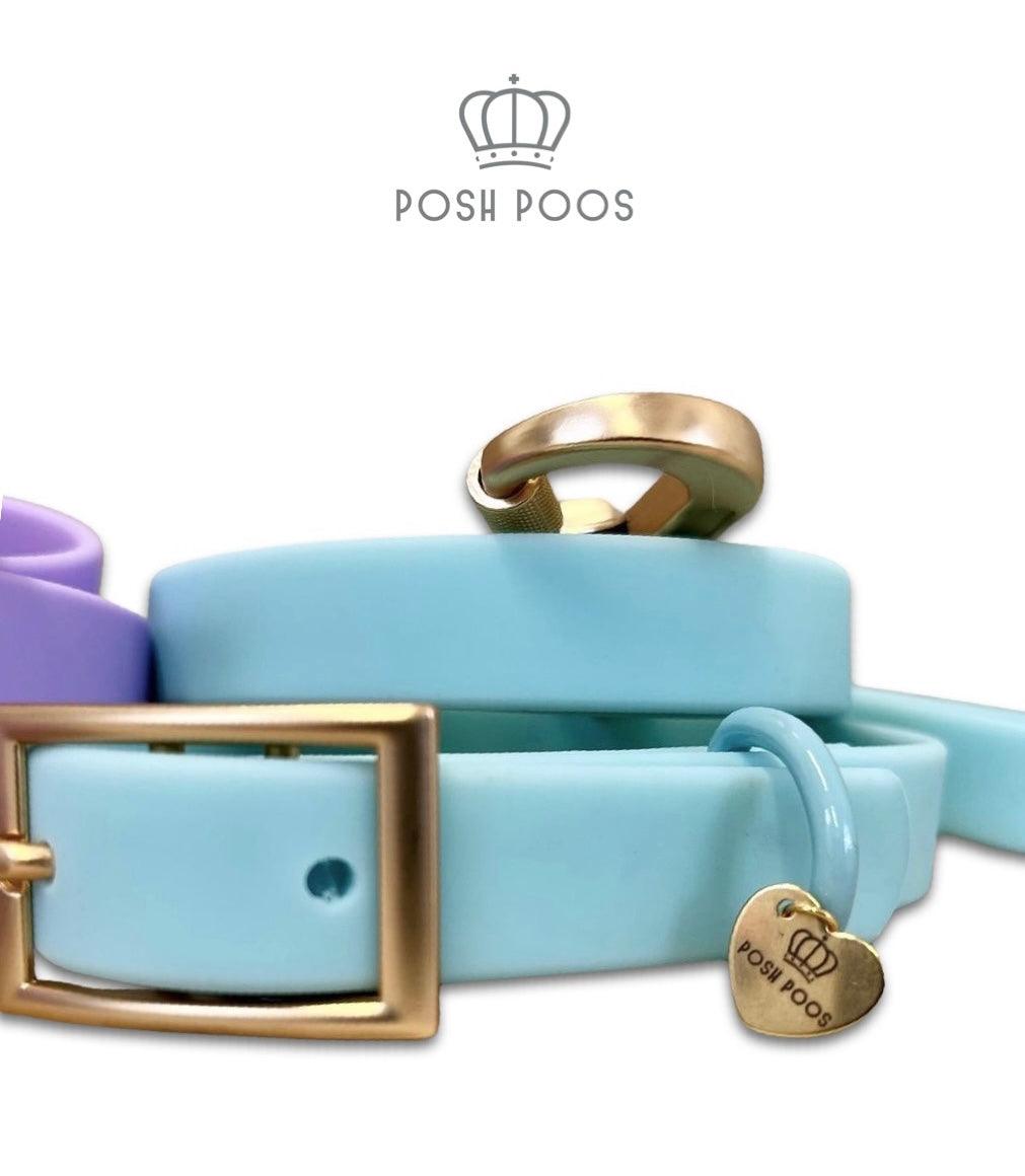 Waterproof Pvc Collar and Lead Set MINT - Posh Poos