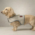 Load image into Gallery viewer, Heritage Stripe Sherpa Coat Harness -Grey