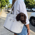 Load image into Gallery viewer, Posh Poos Heritage Stripe Dog Carrier Bag - Grey