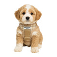 Load image into Gallery viewer, Posh Poos Puppy Harness Set – Taupe Plaid (XXS/XS)
