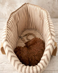 Load image into Gallery viewer, Heritage Stripe Luxury Dog Carrier Bag - Taupe