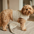 Load image into Gallery viewer, Heritage Stripe Sherpa Coat Harness - Taupe