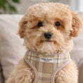 Load image into Gallery viewer, Posh Poos Puppy Harness Set – Taupe Plaid (XXS/XS)