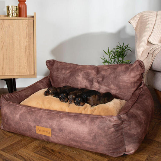 Kensington Box Dog Bed-Chocolate - Posh Poos
