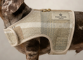 Load image into Gallery viewer, Highland Tweed Puppy Dog Coat Harness