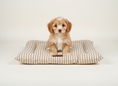 Load image into Gallery viewer, Crate Mattress - Heritage Stripe - Taupe