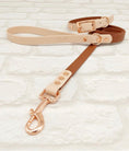 Load image into Gallery viewer, Waterproof BioThane® Dog Collar & Dog Lead Set - Brown and Powder Pearl SMALL, - Posh Poos