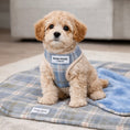 Load image into Gallery viewer, Posh Poos Puppy Harness Set – Grey/Blue Plaid (XXS/XS)