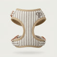 Load image into Gallery viewer, Heritage Stripe Puppy Harness - Taupe