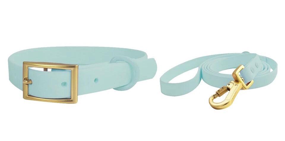 Waterproof Pvc Collar and Lead Set MINT - Posh Poos