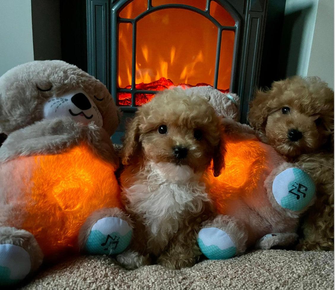 Calming Breathing Otter Dog and Puppy Toy - Posh Poos