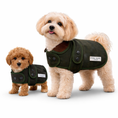 Load image into Gallery viewer, cavapoo puppy and Maltipoo dog wearing green coats with a visible brand label Posh Poosl on a white background