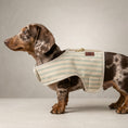 Load image into Gallery viewer, Heritage Stripe Sherpa Coat Harness - Duck Egg