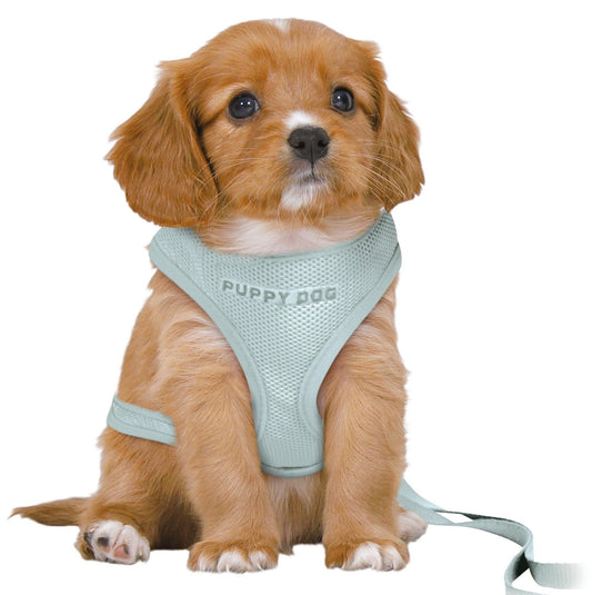 MINT Soft Puppy Harness With Matching Tiny Puppy - Posh Poos