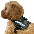 Load image into Gallery viewer, Julius-K9® Powerharness Baby 1–Mini 3XS TINY PUPPY SIZE - Posh Poos