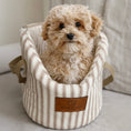 Load image into Gallery viewer, Heritage Stripe Luxury Dog Carrier Bag - Taupe