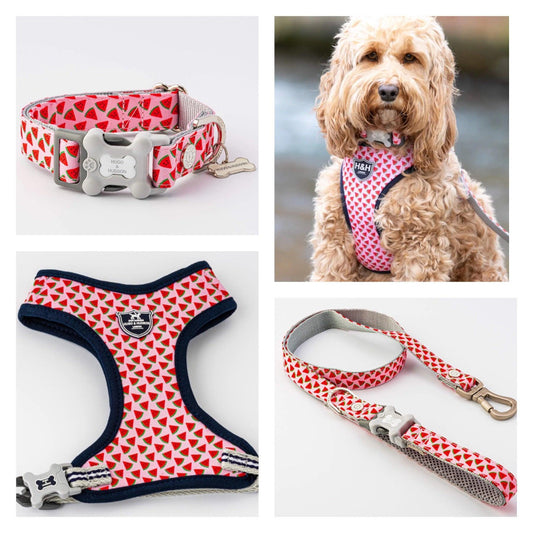 XS Puppy Harness, Lead, Collar Set -Watermelon - Posh Poos