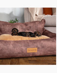 Load image into Gallery viewer, Kensington Box Dog Bed-Chocolate - Posh Poos