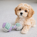 Load image into Gallery viewer, Puppy Knot Rope Toy