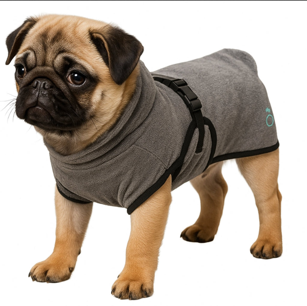 Puppy and Small Dog Bathrobe XS
